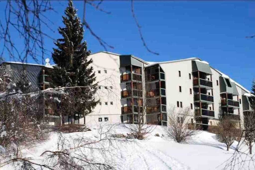 Chaleureux Montagnard Avec Balcon 2303 Premanon