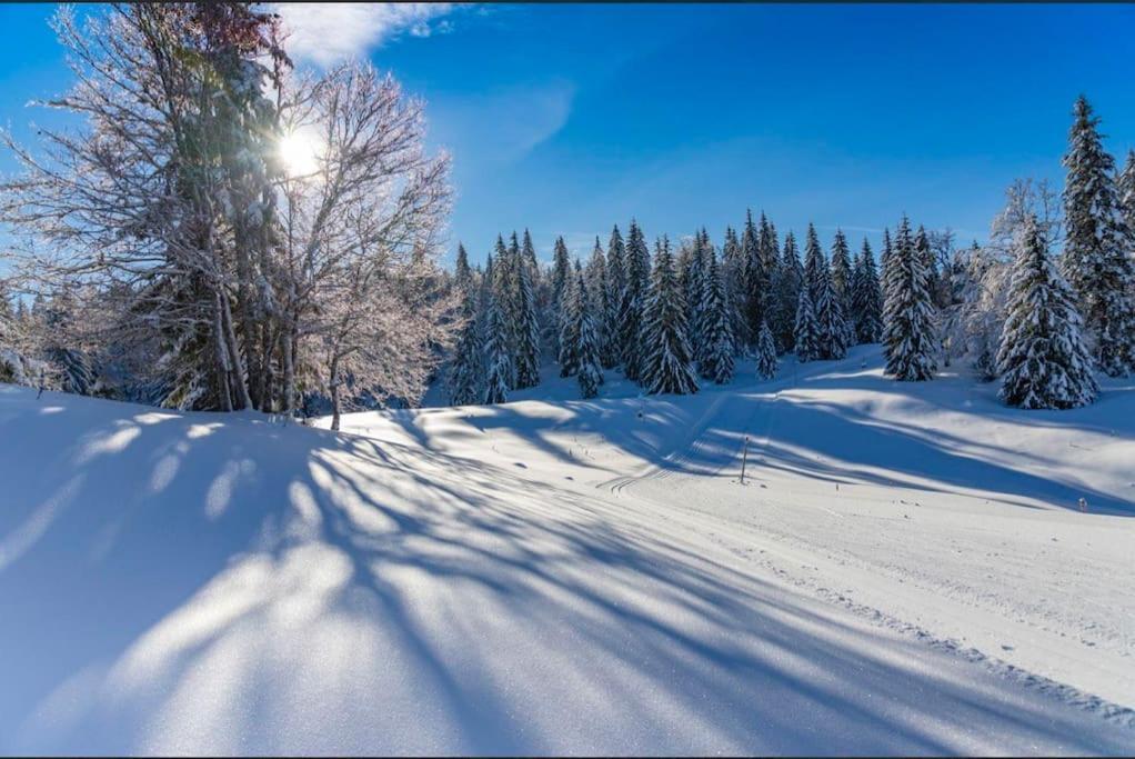 Chaleureux Montagnard Avec Balcon 2303 Apartment Premanon