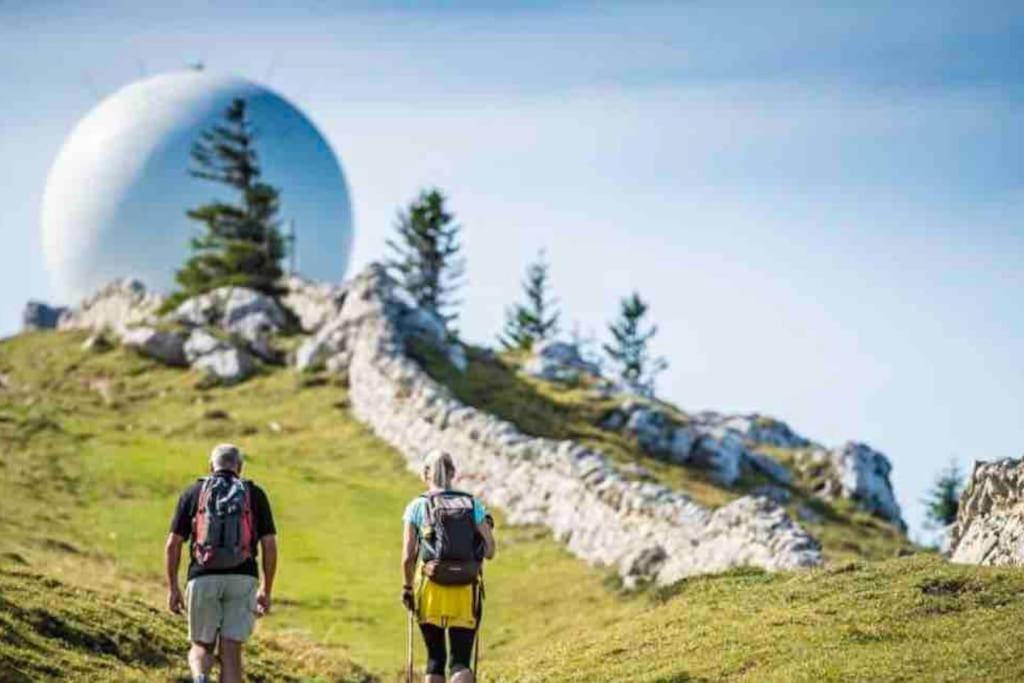 Chaleureux Montagnard Avec Balcon 2303 Premanon